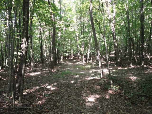 9773 Summit Road Southeast Newark, OH 43056 - Photo 3 of 14
