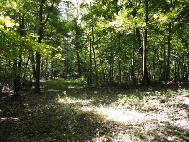 9773 Summit Road Southeast Newark, OH 43056 - Photo 4 of 14