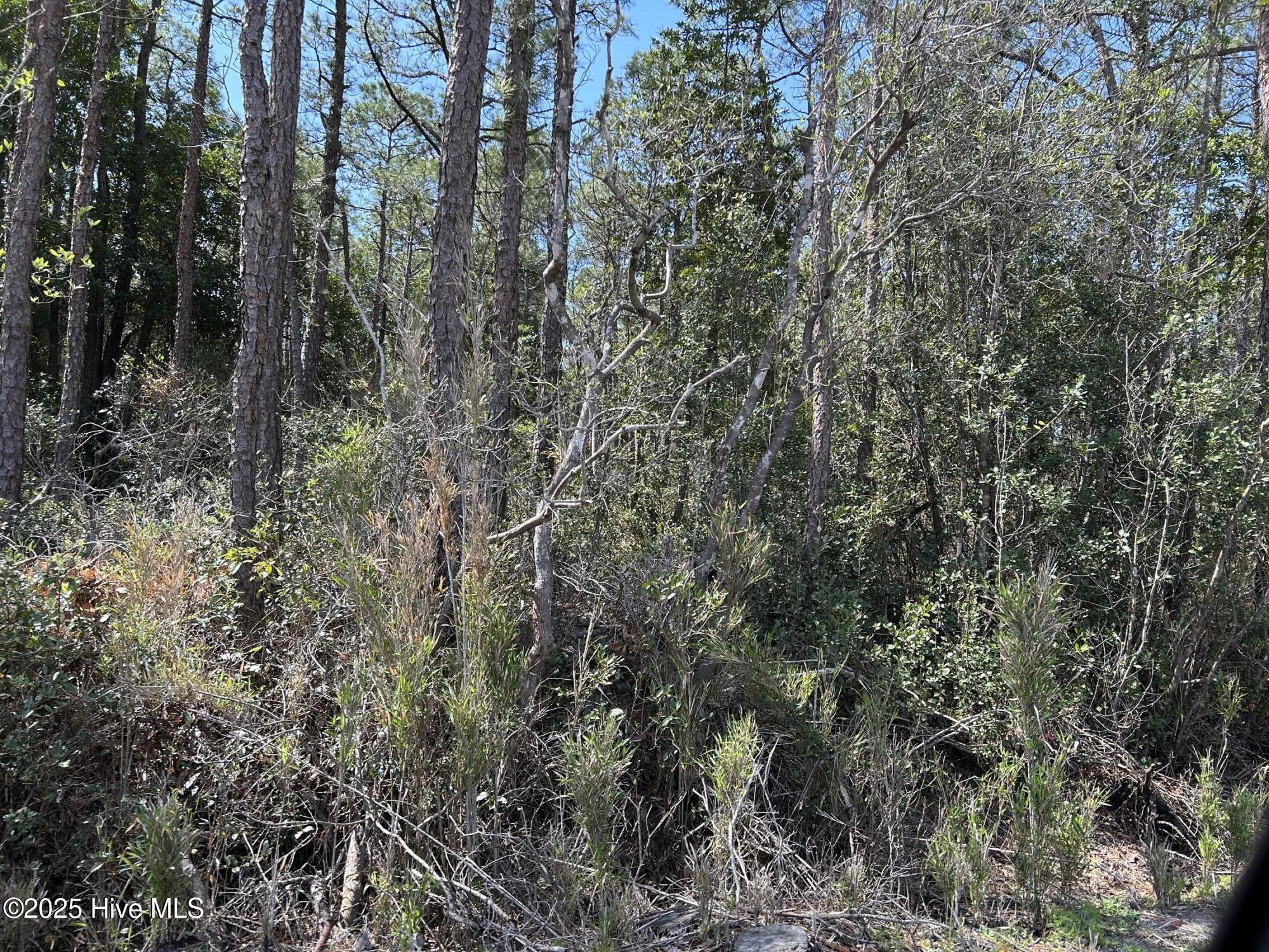 7580 Plantation Road Wilmington, NC 28411 - Photo 2 of 5 IMG_3637