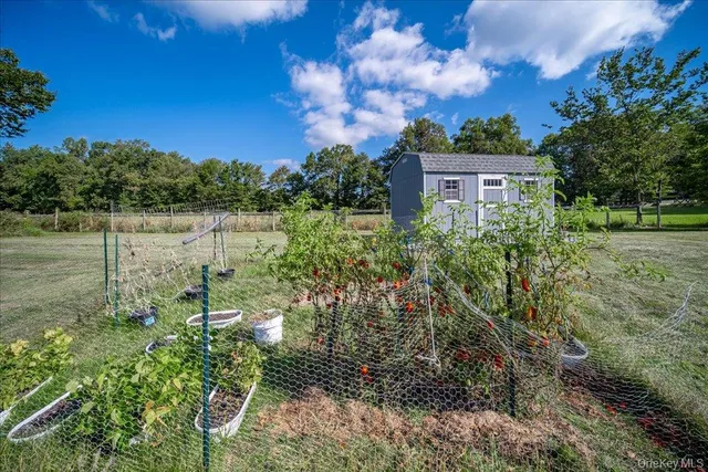 a view of a garden with a lake