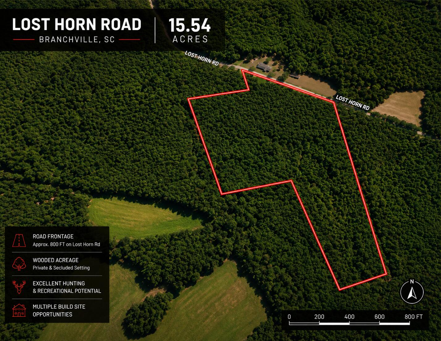 1 Lost Horn Road Reevesville, SC 29471 - Photo 2 of 11 ChatGPT Image May 16, 2026, 07_56_15 PM