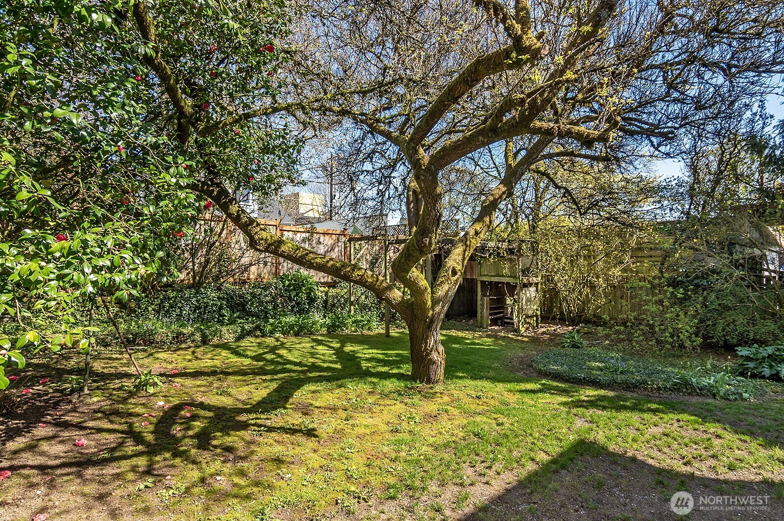 942 North 81st Street Seattle, WA 98103 - Photo 23 of 27