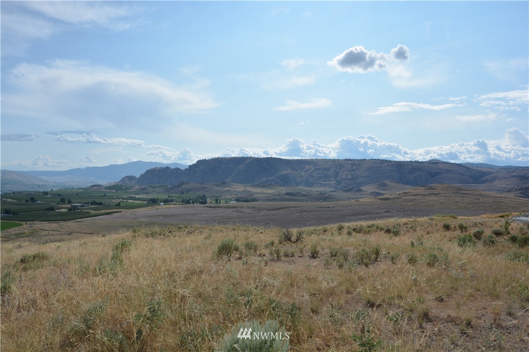 8 Silver Spur Brewster, WA 98812 - Photo 4 of 20