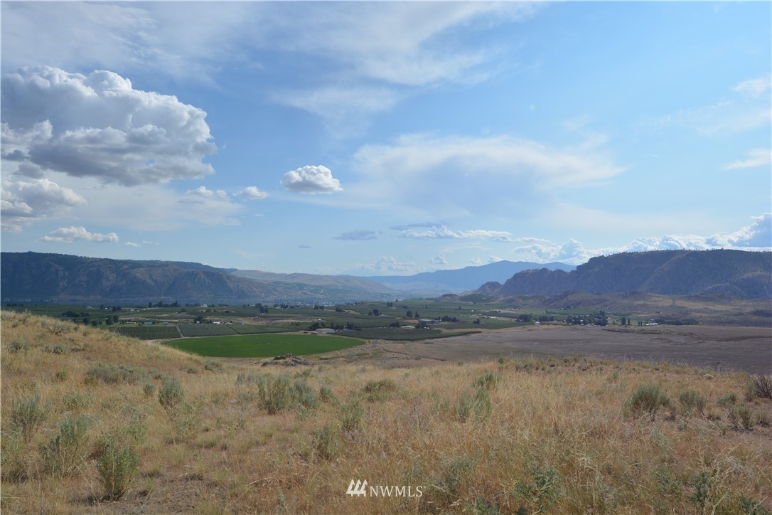 8 Silver Spur Brewster, WA 98812 - Photo 5 of 20