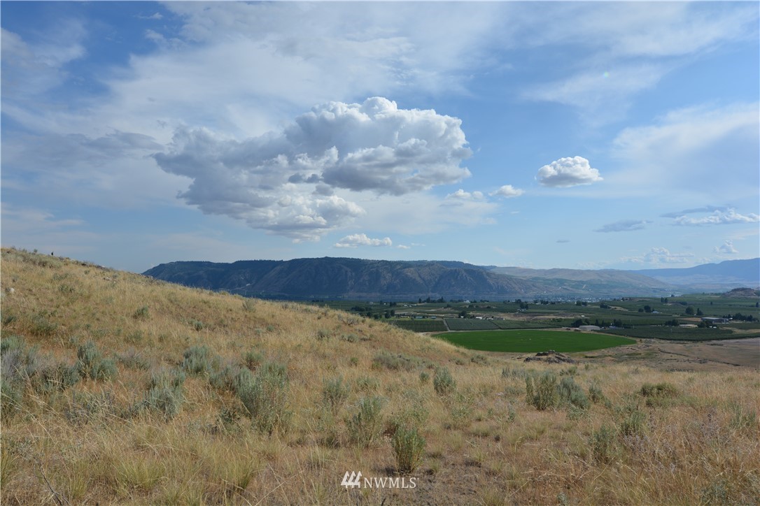 8 Silver Spur Brewster, WA 98812 - Photo 6 of 20