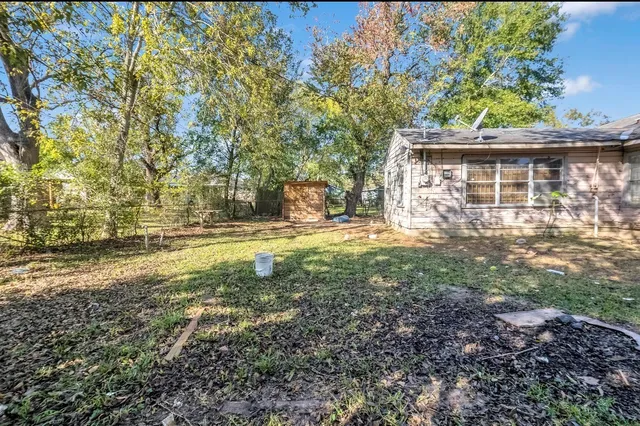a view of a yard with plants and large trees