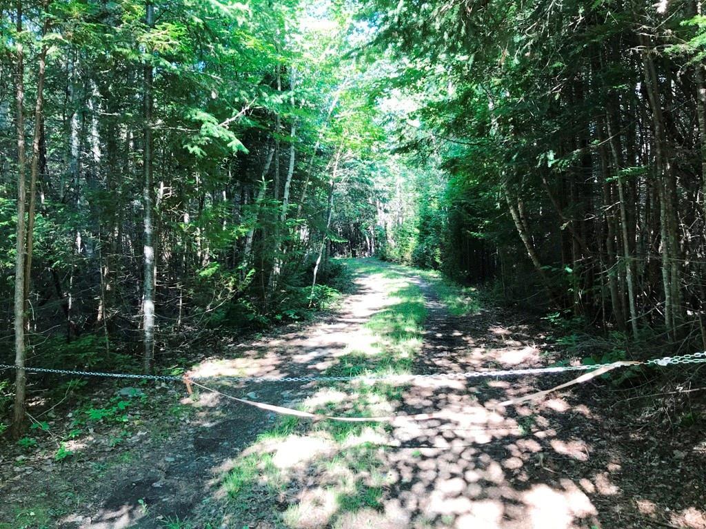 Tbd B&a Railroad North Road North Shirley, ME 04485 - Photo 8 of 22 Photo