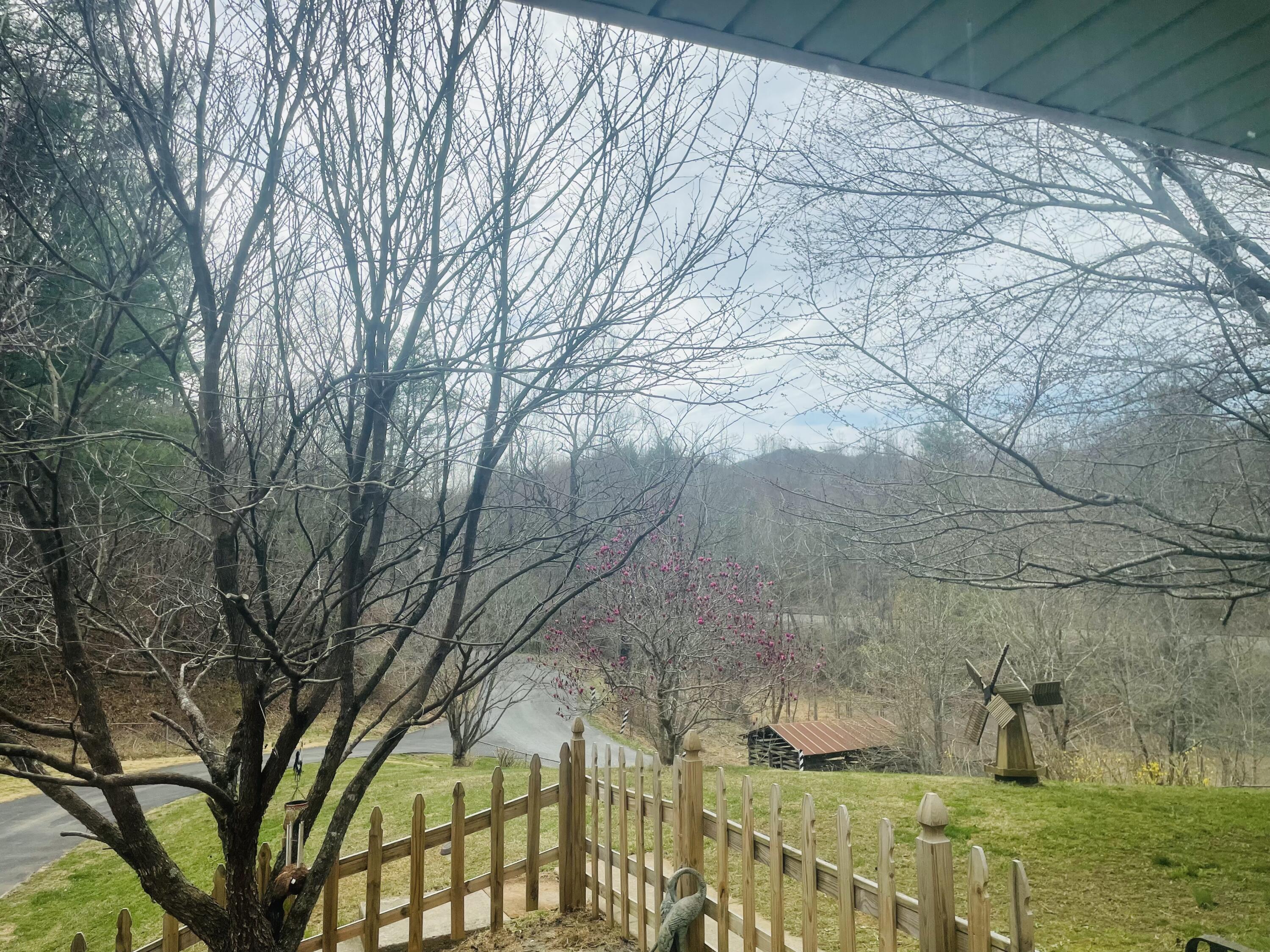 7592 Willow Branch Road Boones Mill, VA 24065 - Photo 19 of 47 window view at Willow Branch Rd