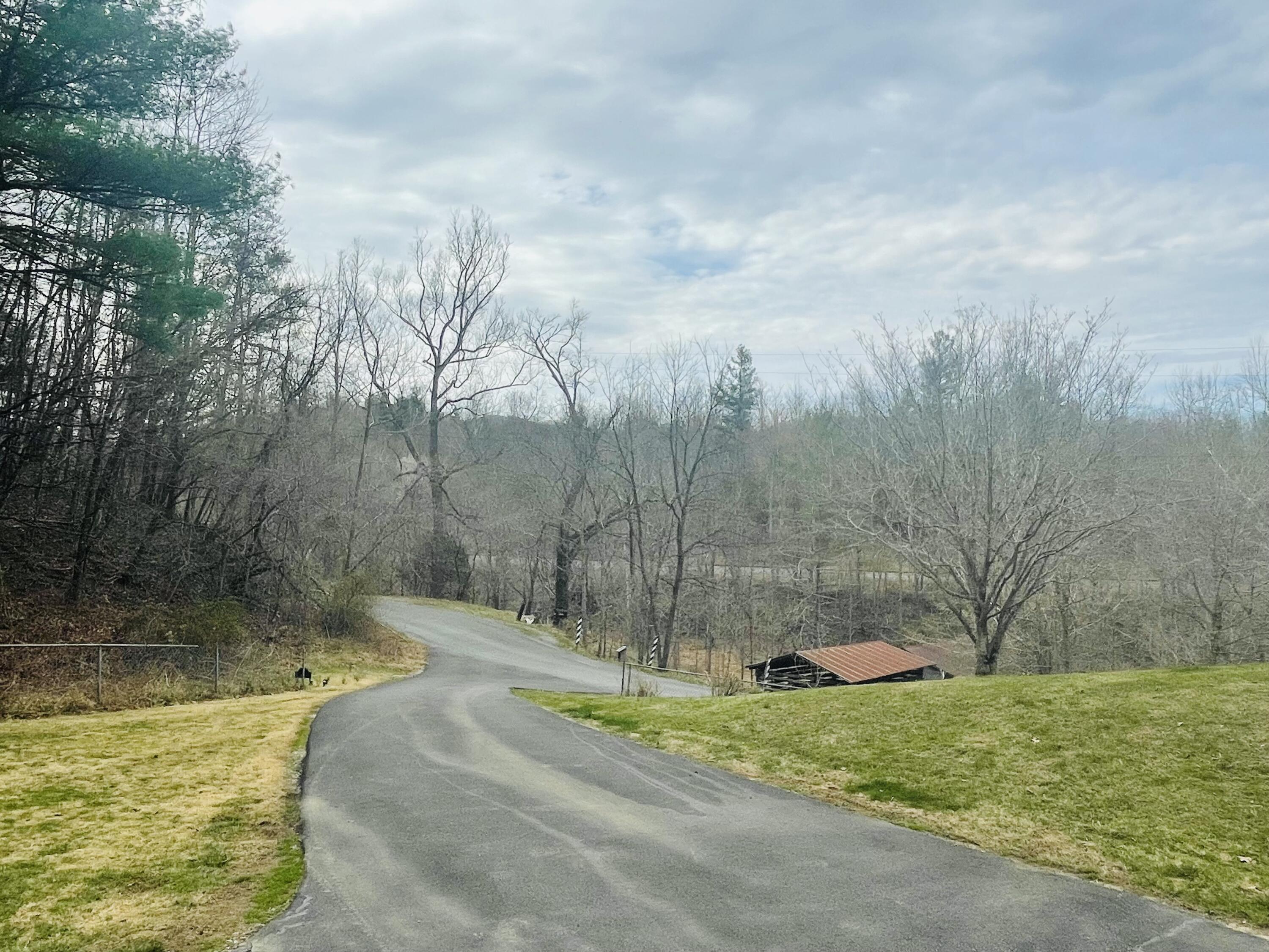 7592 Willow Branch Road Boones Mill, VA 24065 - Photo 28 of 47 driveway Willow Branch Rd