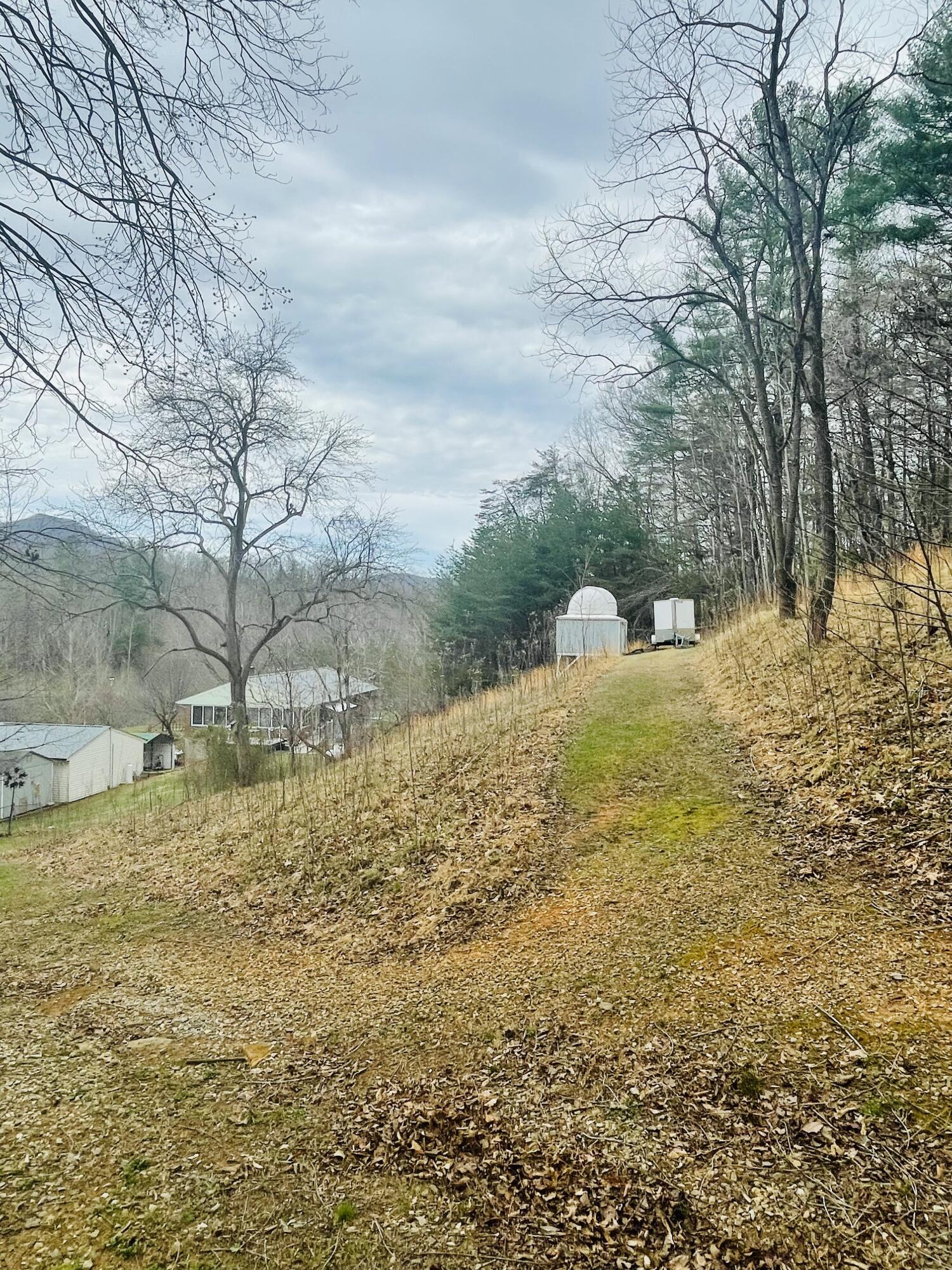 7592 Willow Branch Road Boones Mill, VA 24065 - Photo 29 of 47 a view of a yard with large trees