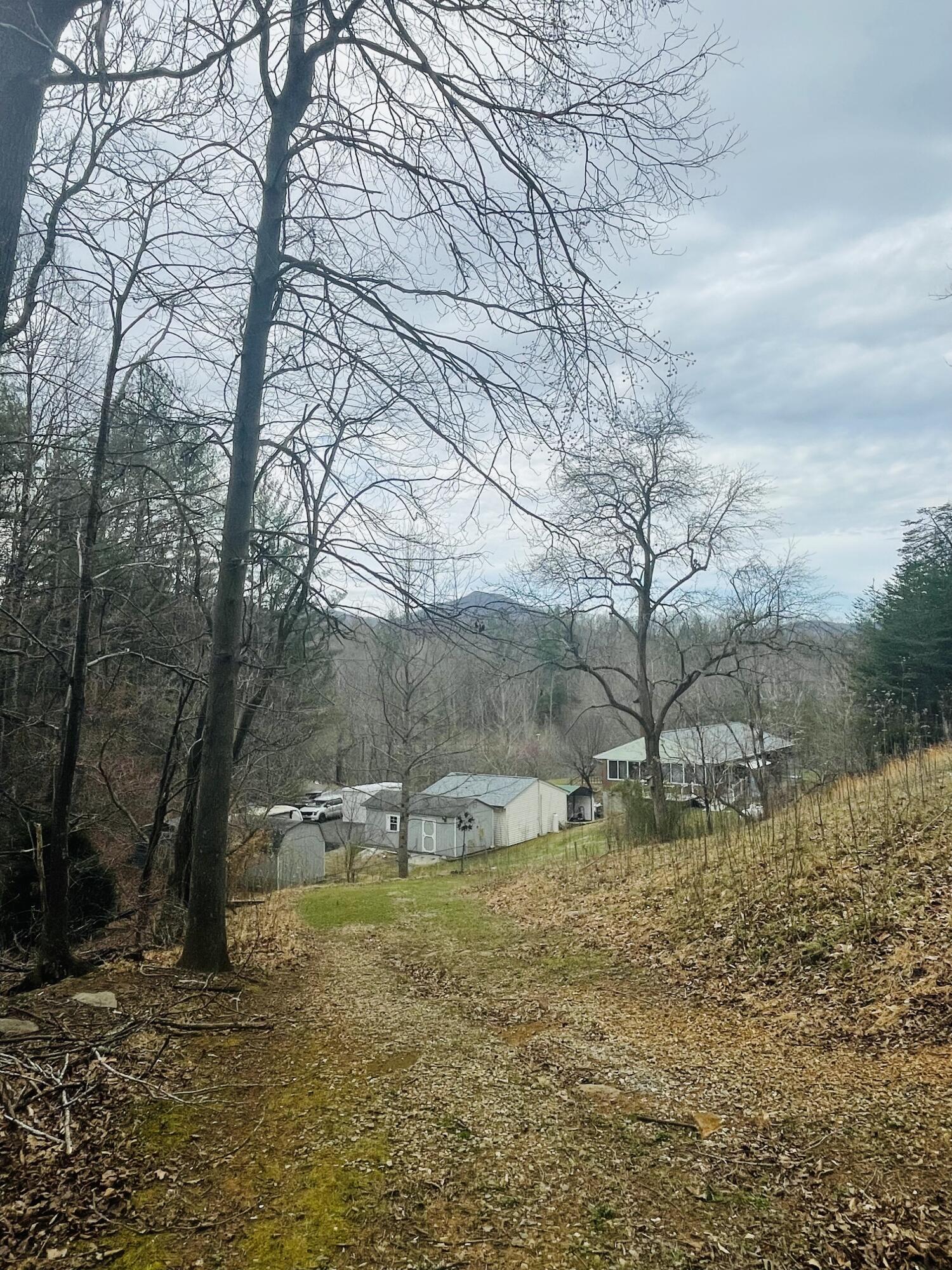 7592 Willow Branch Road Boones Mill, VA 24065 - Photo 32 of 47 a view of a yard with a tree