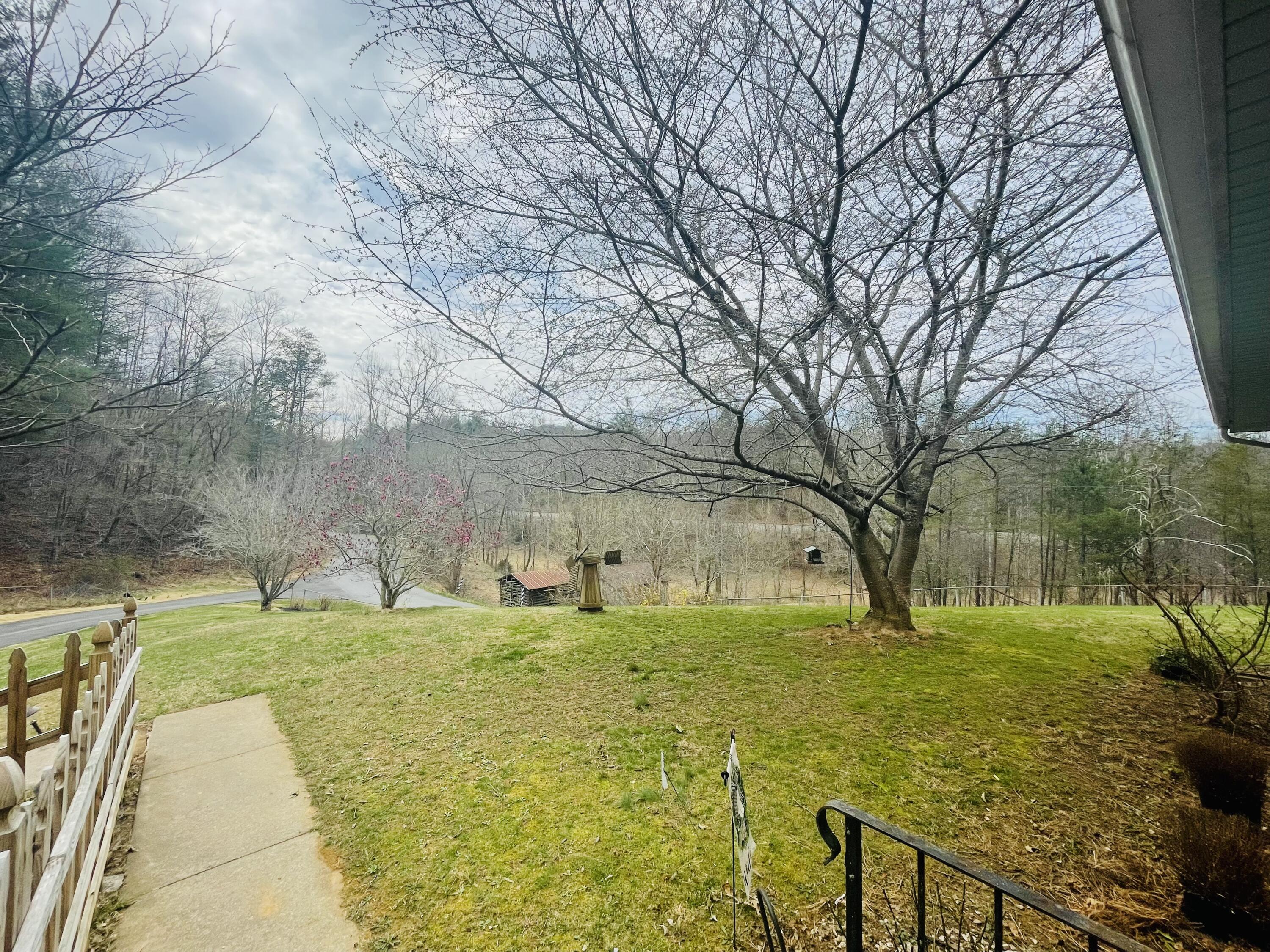 7592 Willow Branch Road Boones Mill, VA 24065 - Photo 39 of 47 frontyard sidewalk Willow Branch