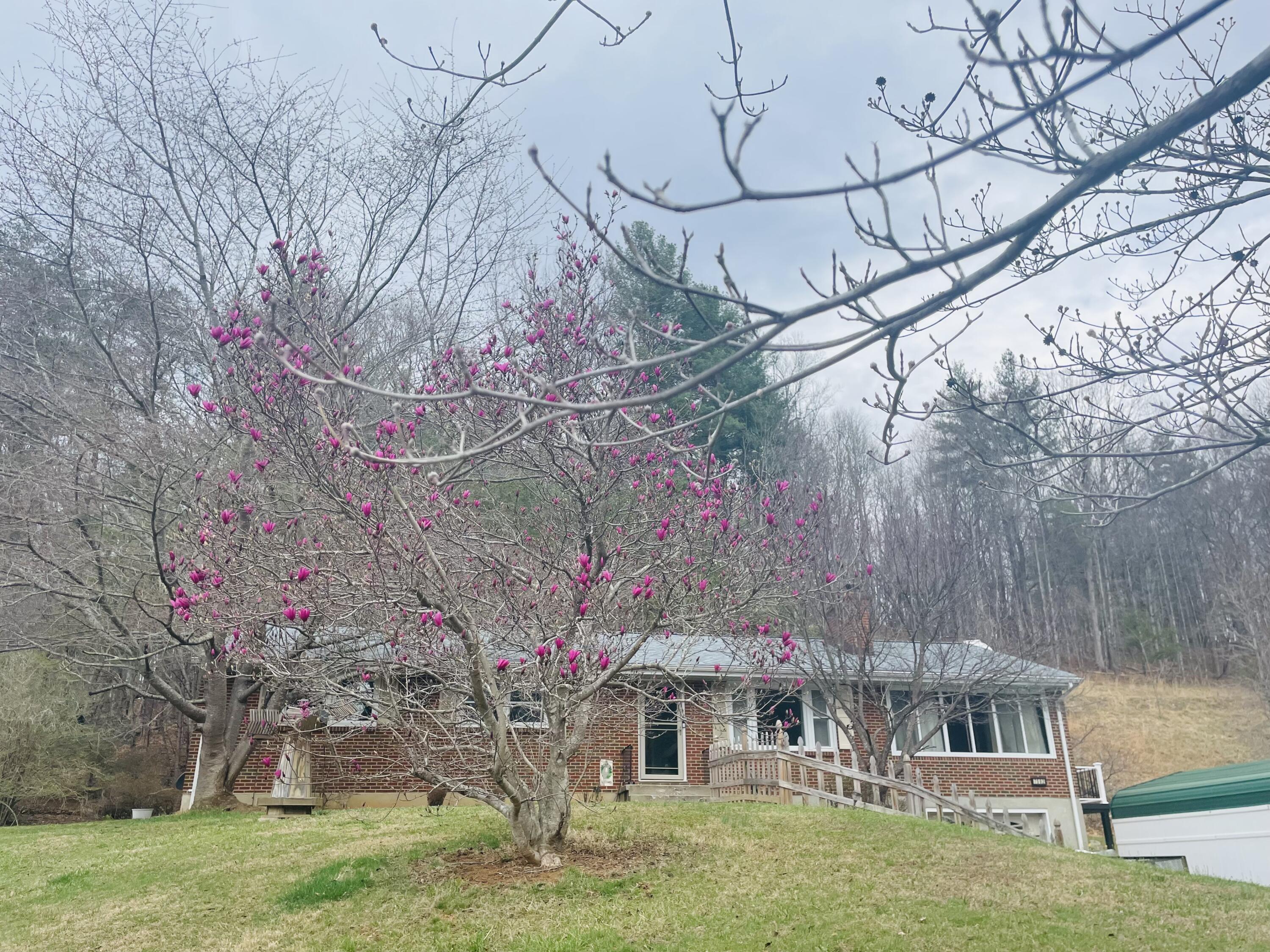 7592 Willow Branch Road Boones Mill, VA 24065 - Photo 41 of 47 front of home Willow Branch RD