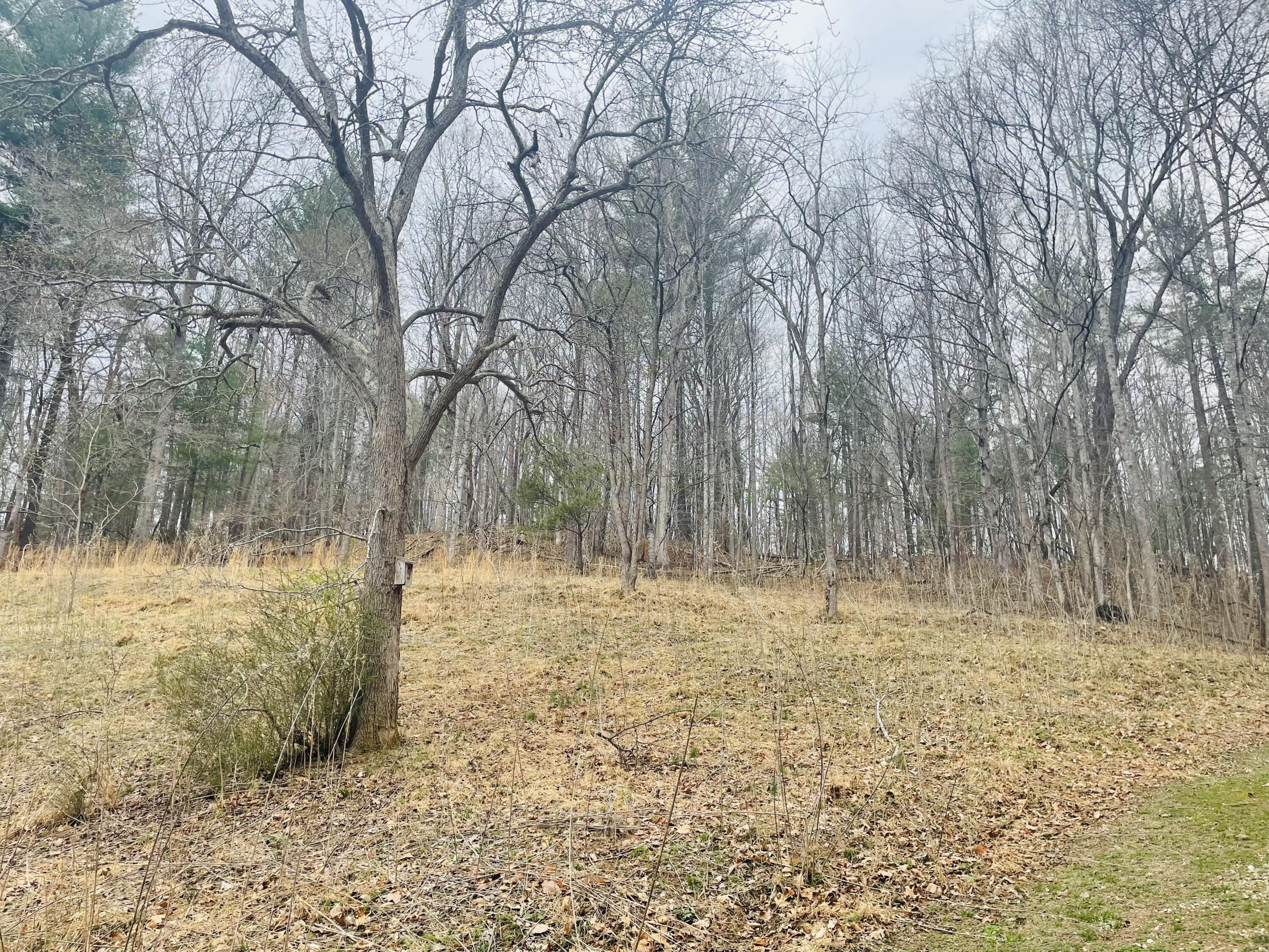 7592 Willow Branch Road Boones Mill, VA 24065 - Photo 42 of 47 acreage