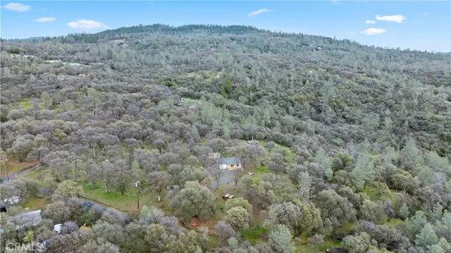 a view of a forest with a mountain and trees in the background
