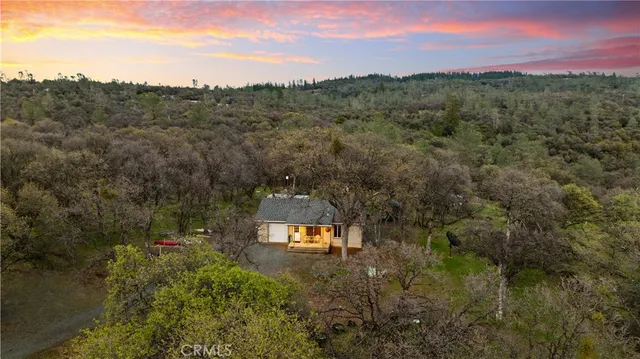 a view of a city with lush green forest