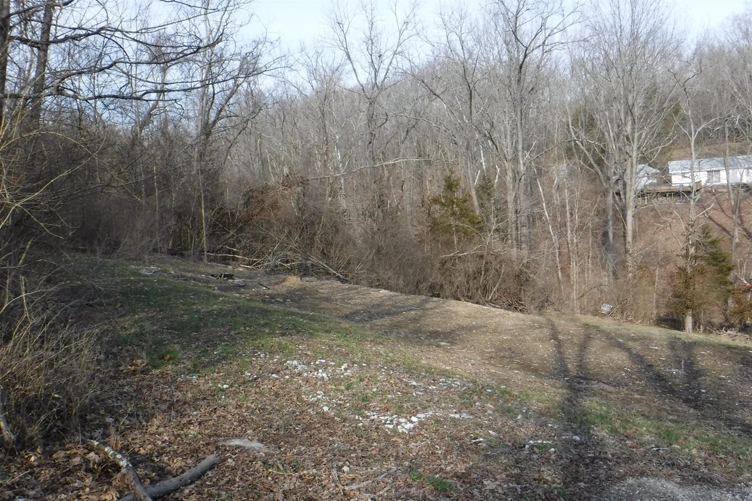 308 Peaceful Road Dry Ridge, KY 41035 - Photo 4 of 7 Photo 4