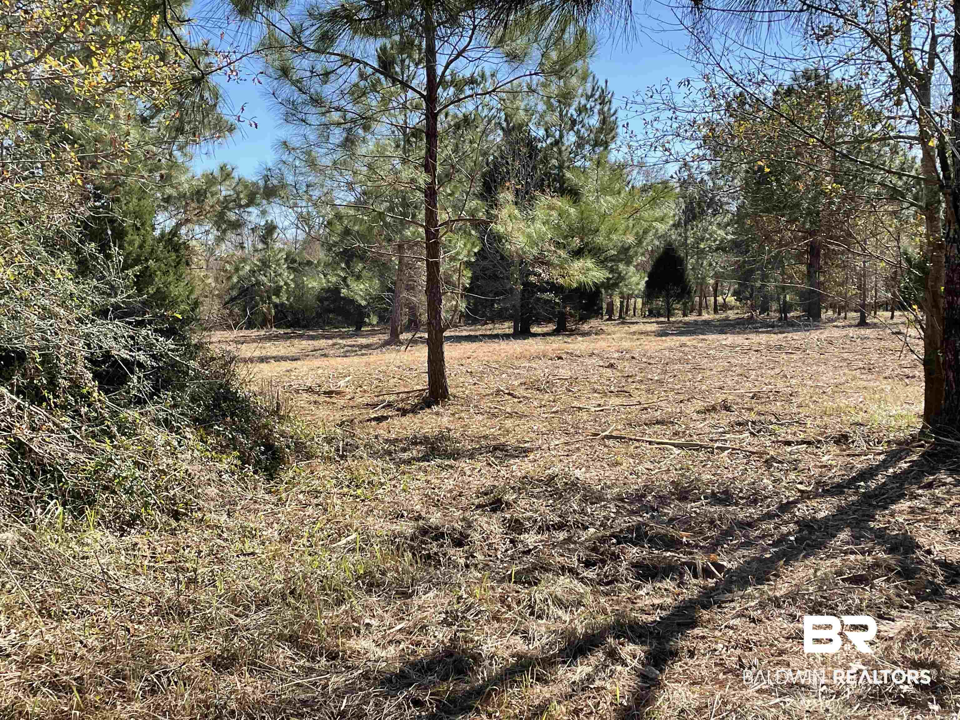 0 Makaira Drive Foley, AL 36535 - Photo 29 of 33