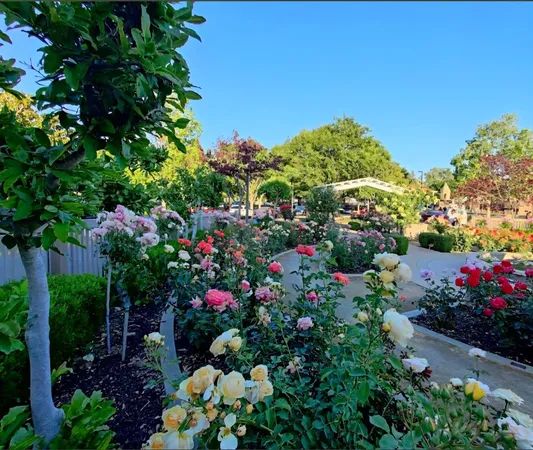 $555,500 | 1916 Oak Bluff Way, Sacramento, CA 95833