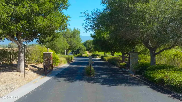 a park view with a bench