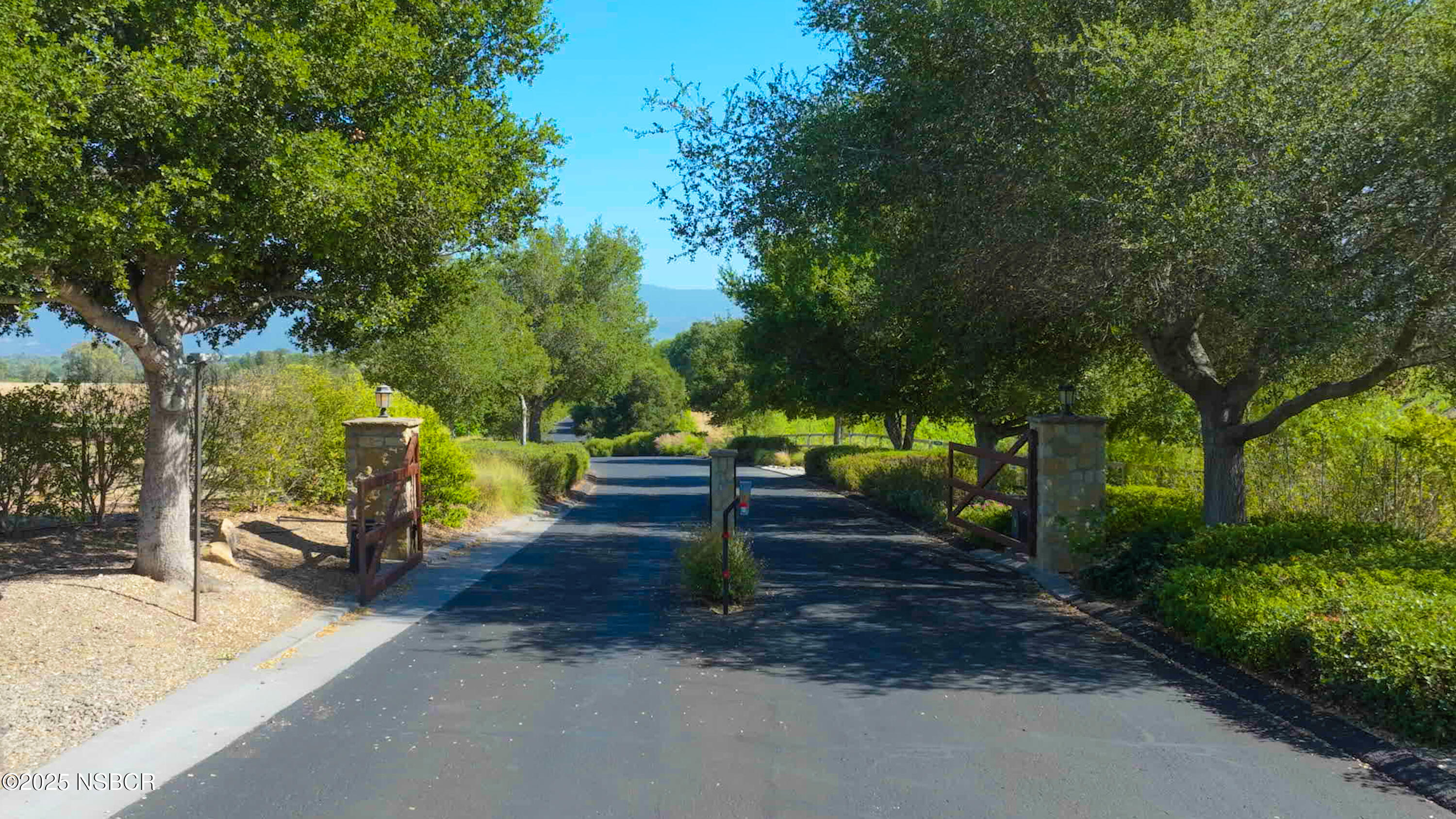 a park view with a bench