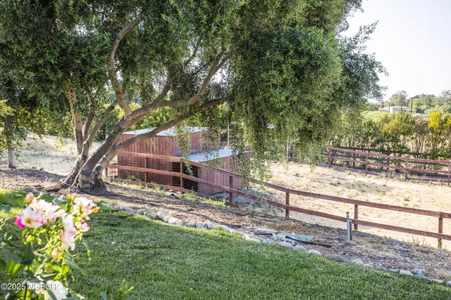 a view of yard with tree and green space