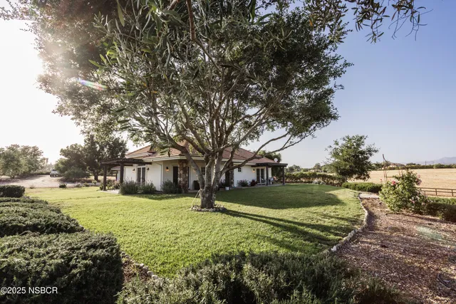 a patio with couches and potted plants with sky view
