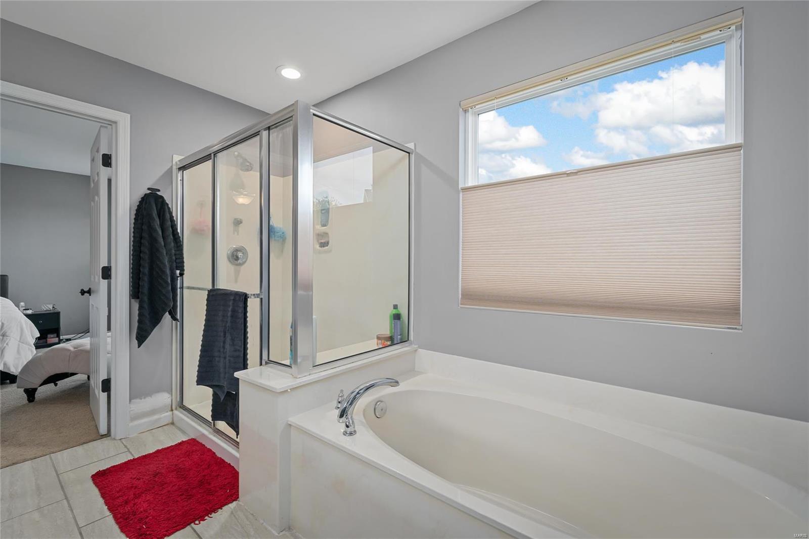 613 Spring Manor O'Fallon, MO 63368 - Photo 16 of 25