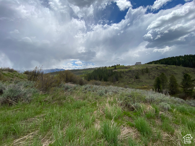 41 Grouse Loop Road, Unit 41 Freedom, WY 83120 - Photo 14 of 33 View of local wilderness with rural landscape