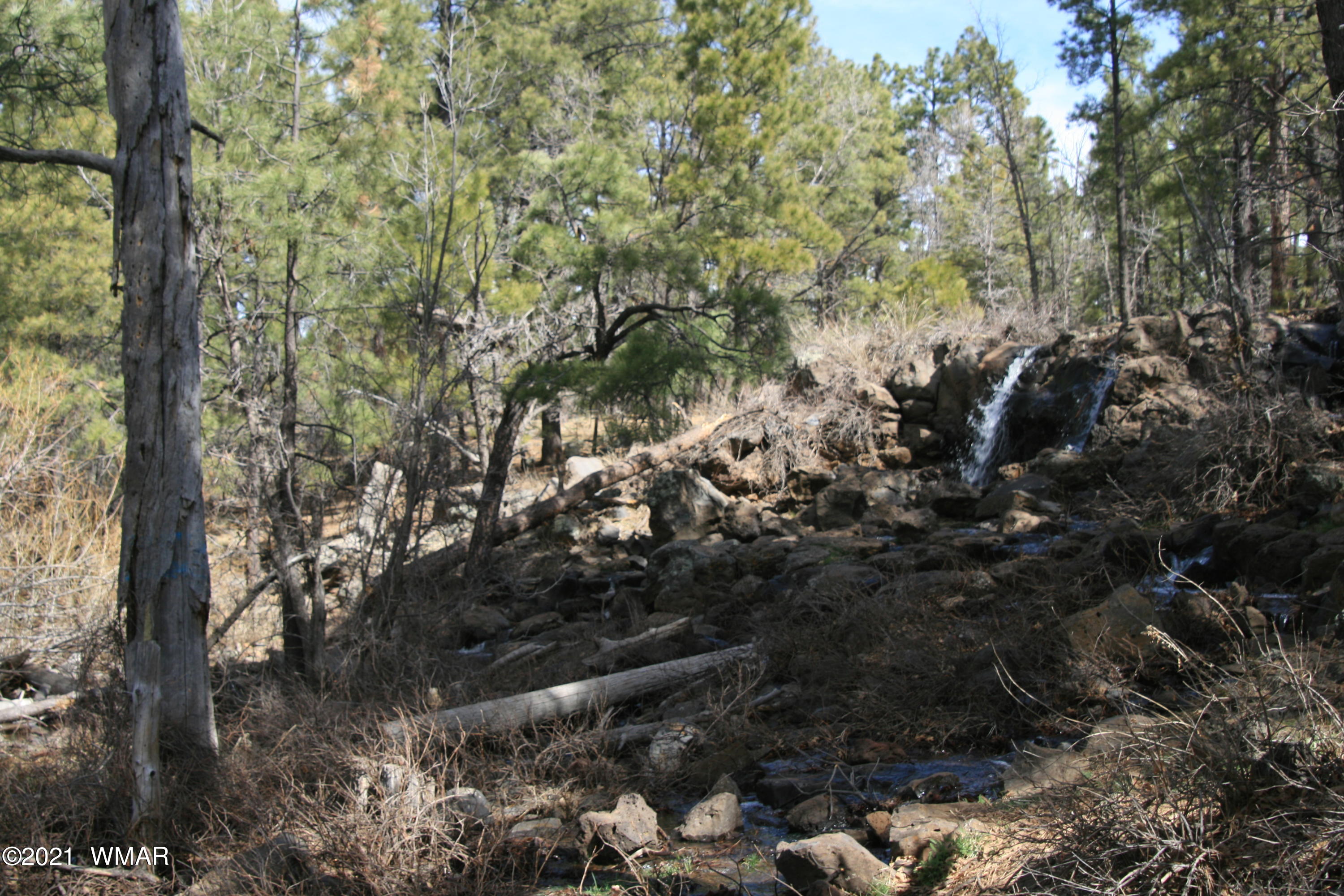2329 Willow Way Pinetop, AZ 85935 - Photo 11 of 96