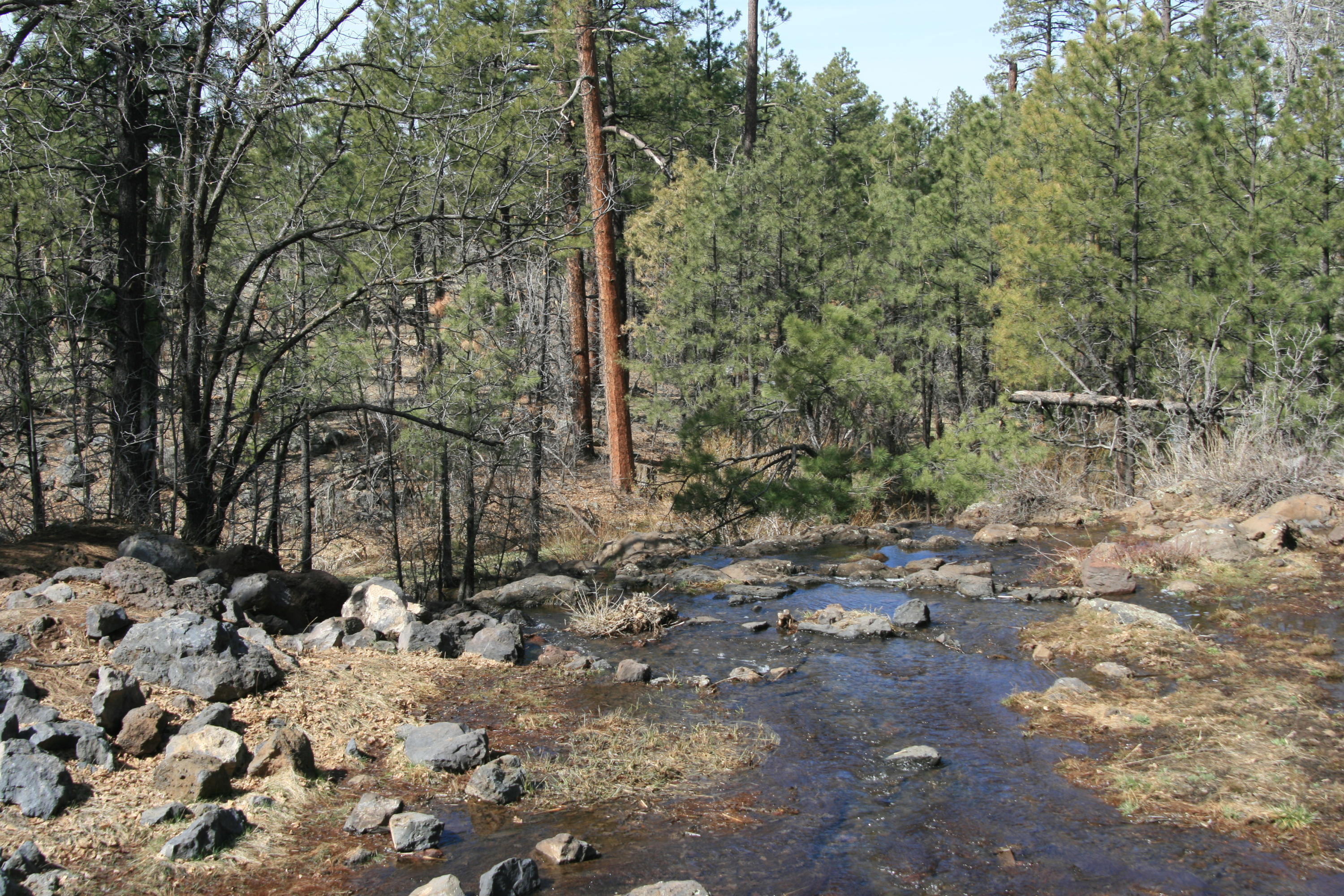 2329 Willow Way Pinetop, AZ 85935 - Photo 12 of 96