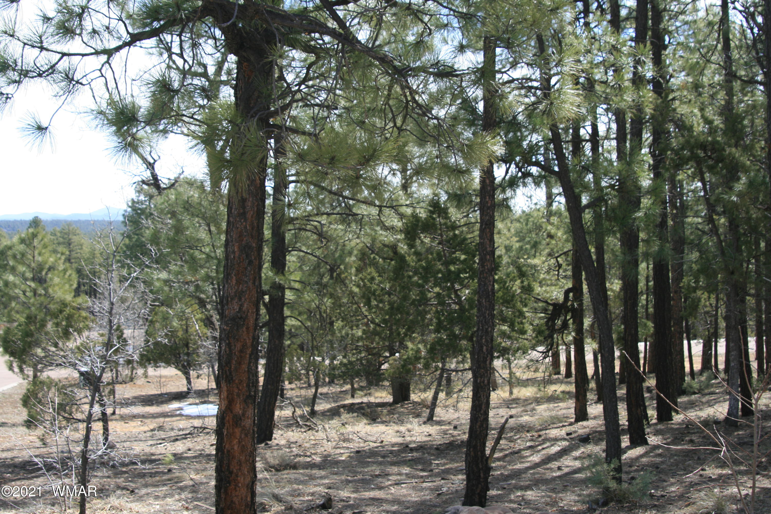 2329 Willow Way Pinetop, AZ 85935 - Photo 20 of 96