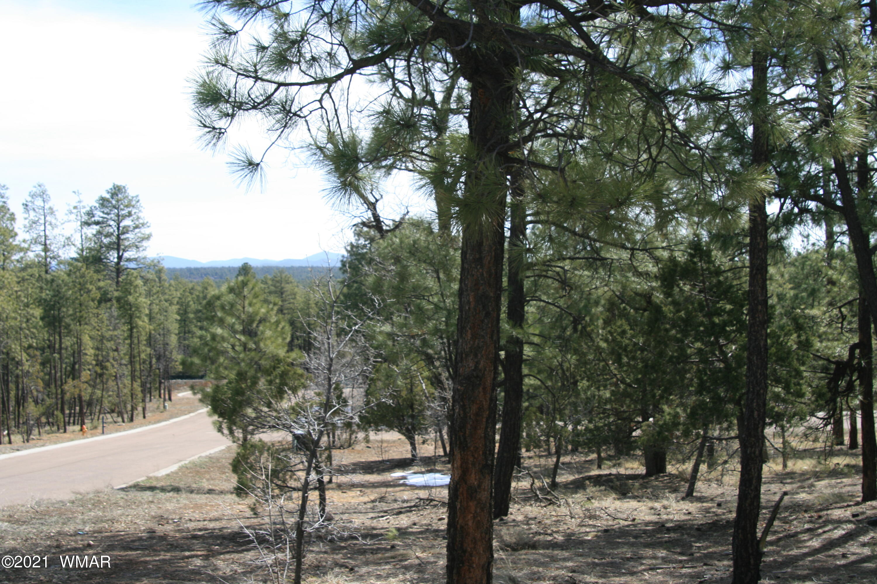 2329 Willow Way Pinetop, AZ 85935 - Photo 21 of 96