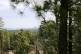 2329 Willow Way Pinetop, AZ 85935 - Photo 22 of 96