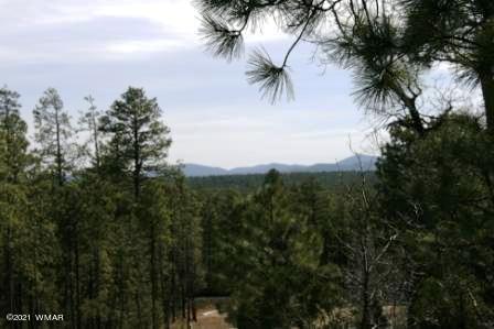 2329 Willow Way Pinetop, AZ 85935 - Photo 23 of 96