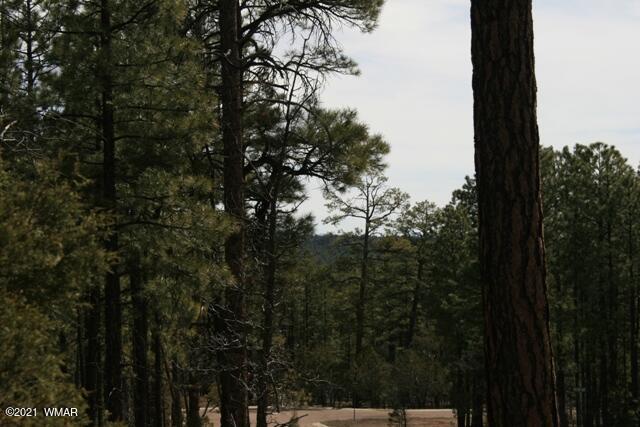2329 Willow Way Pinetop, AZ 85935 - Photo 24 of 96