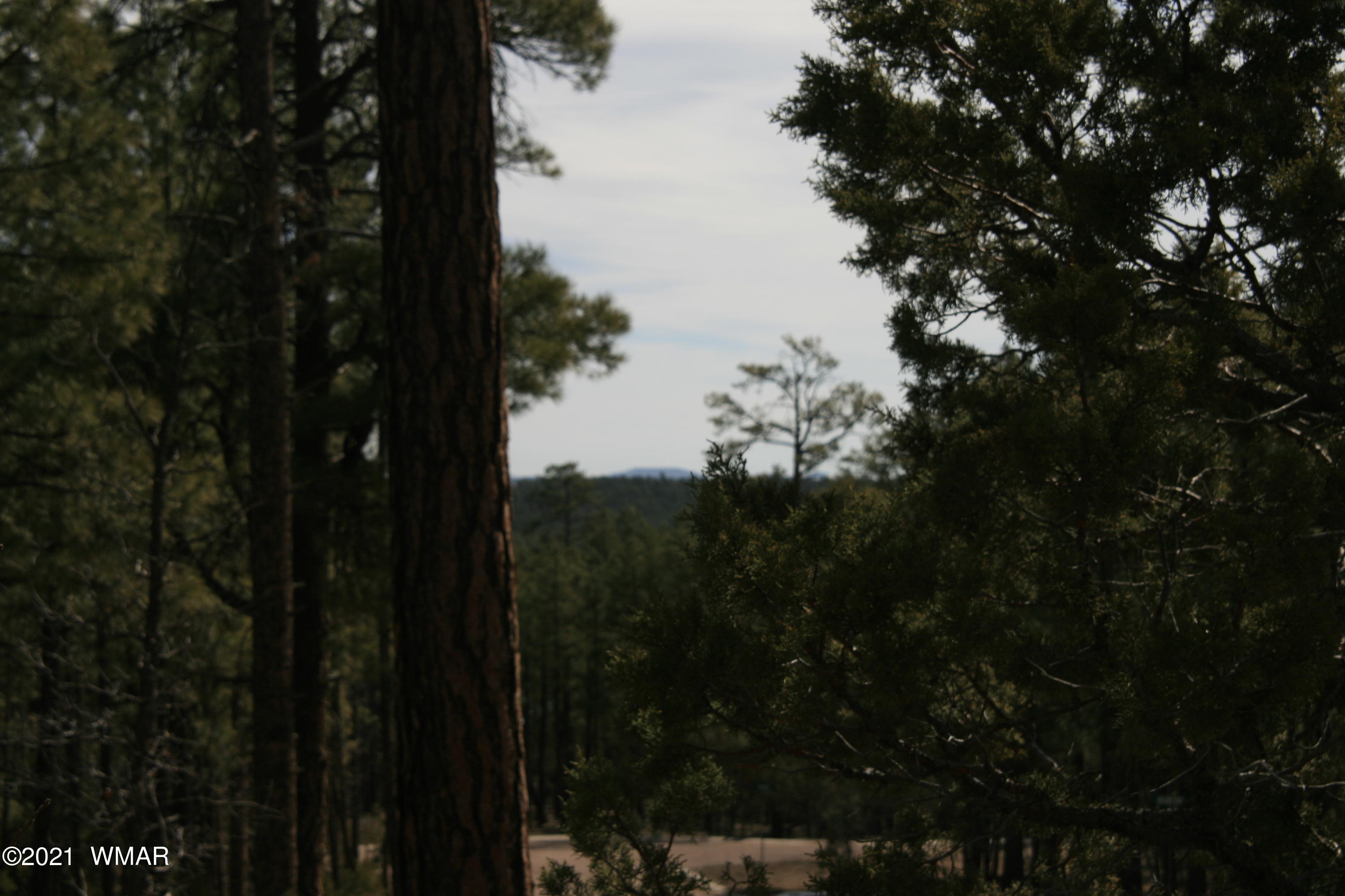 2329 Willow Way Pinetop, AZ 85935 - Photo 25 of 96