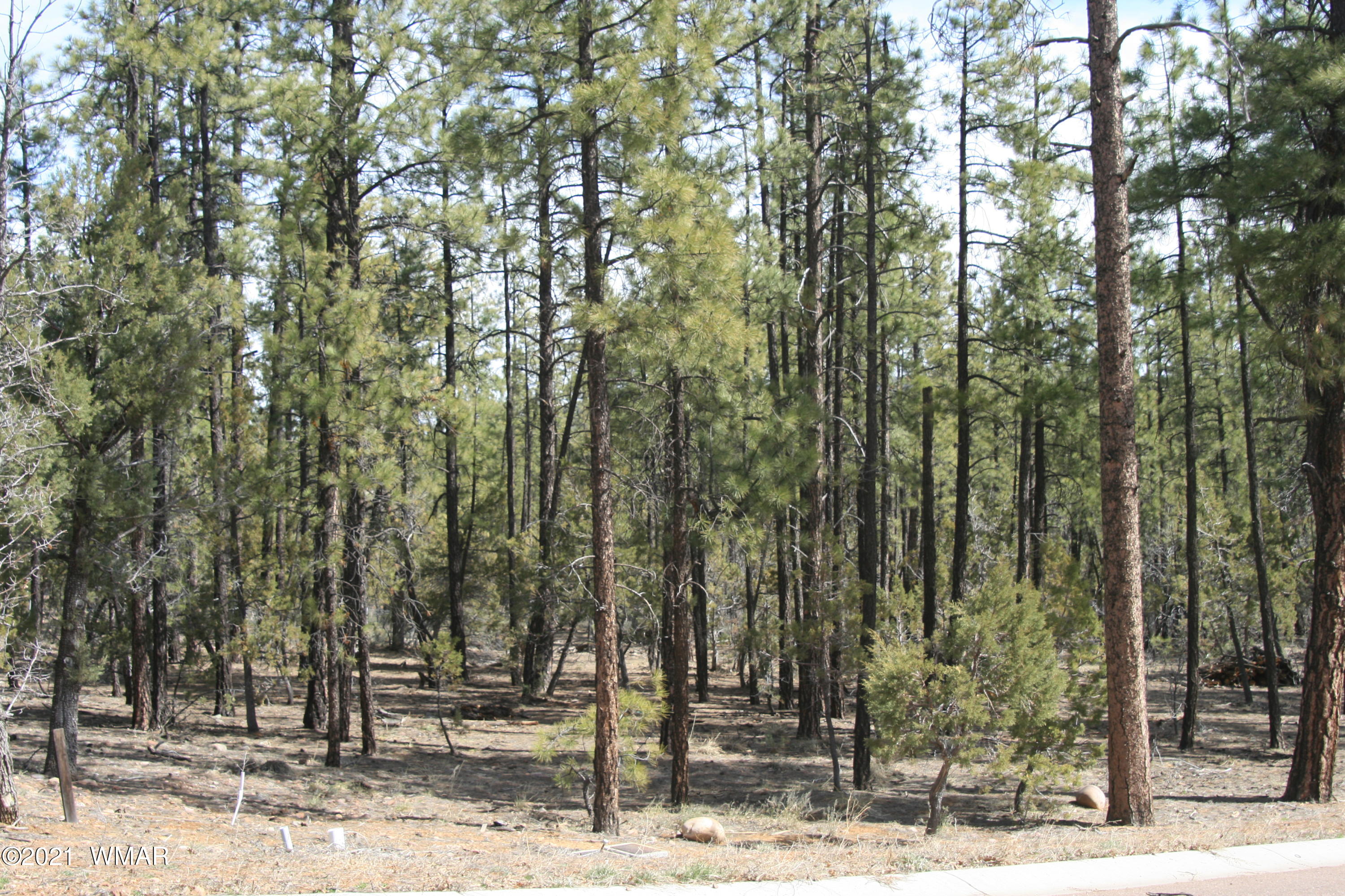 2329 Willow Way Pinetop, AZ 85935 - Photo 26 of 96
