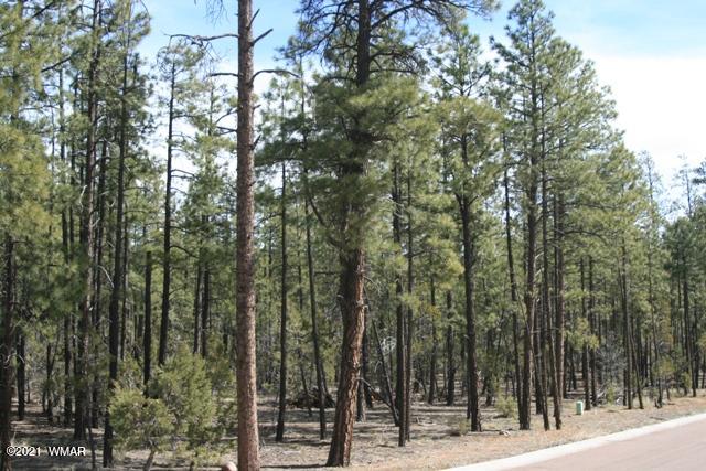 2329 Willow Way Pinetop, AZ 85935 - Photo 27 of 96