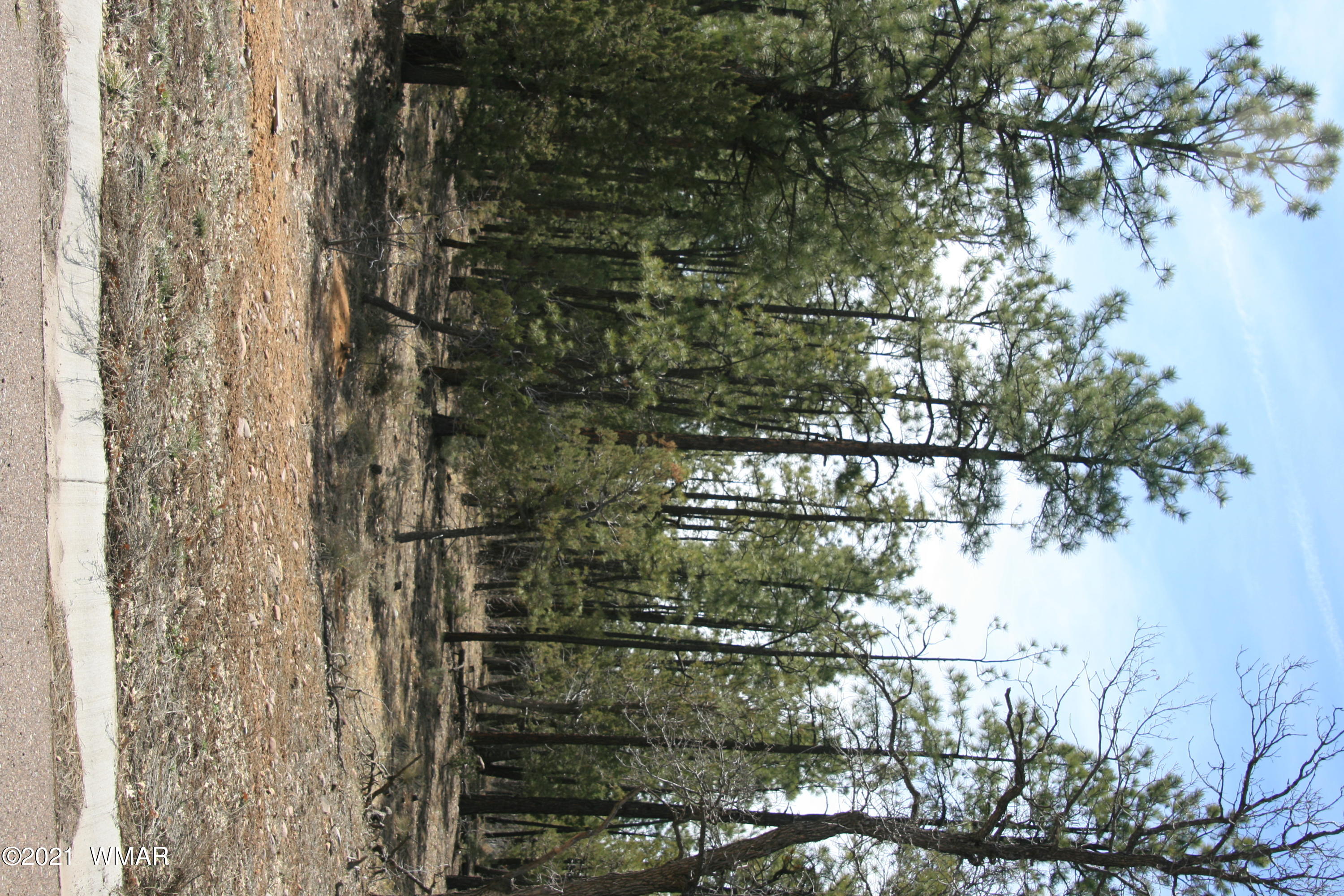2329 Willow Way Pinetop, AZ 85935 - Photo 28 of 96