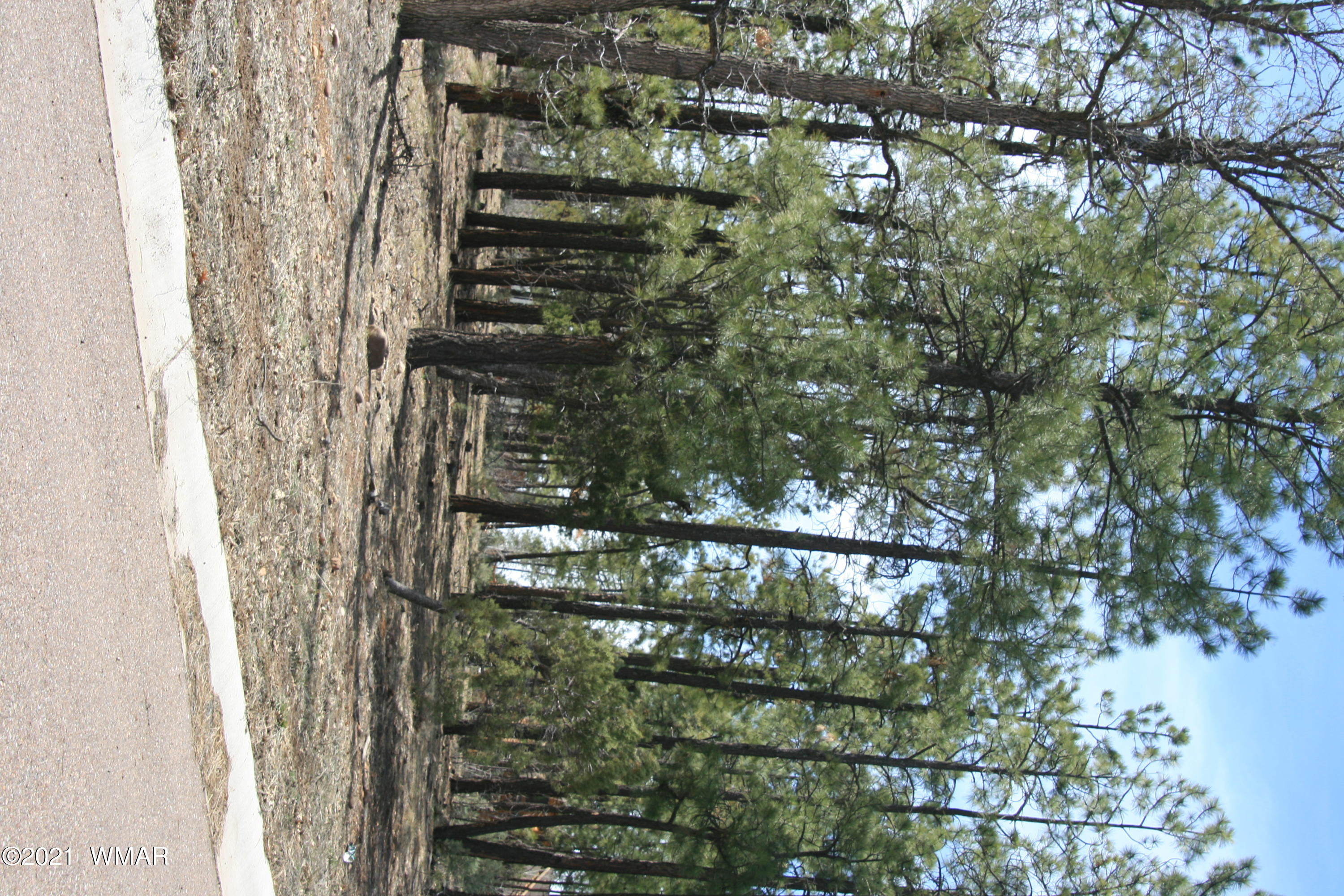 2329 Willow Way Pinetop, AZ 85935 - Photo 29 of 96