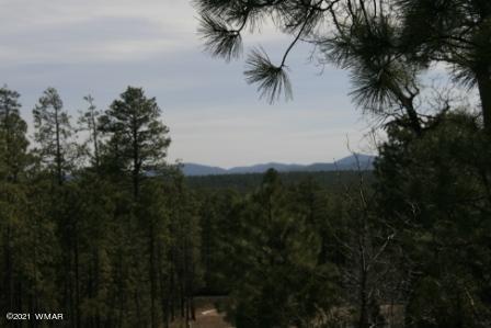 2329 Willow Way Pinetop, AZ 85935 - Photo 30 of 96