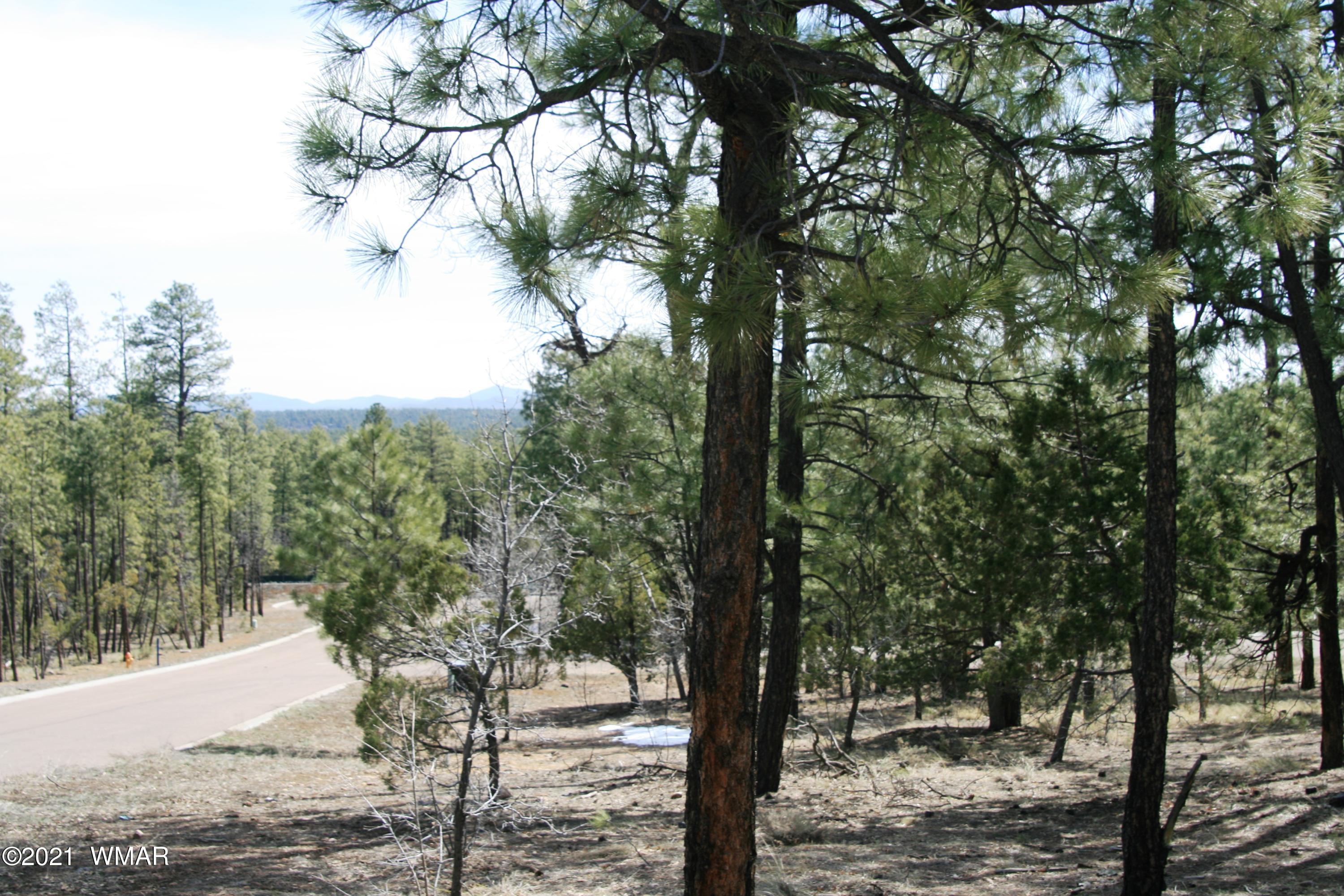 2329 Willow Way Pinetop, AZ 85935 - Photo 31 of 96