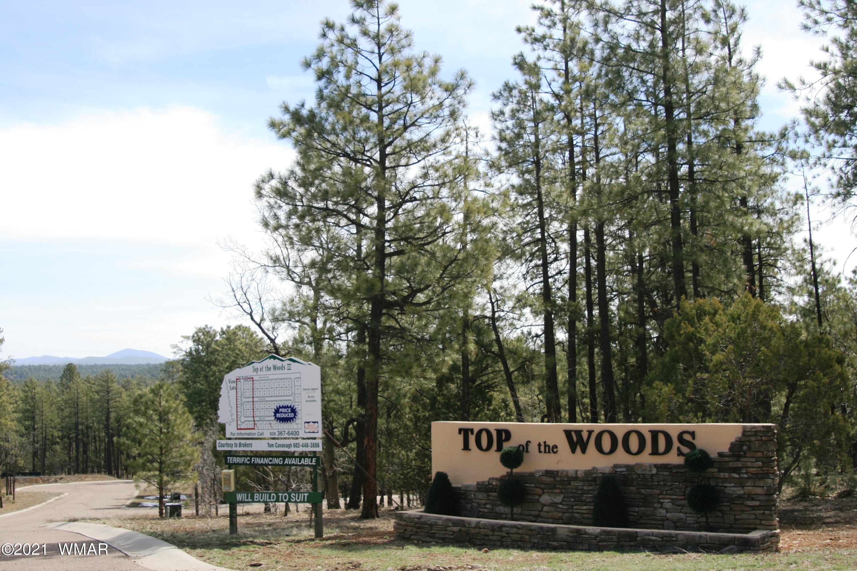 2329 Willow Way Pinetop, AZ 85935 - Photo 32 of 96