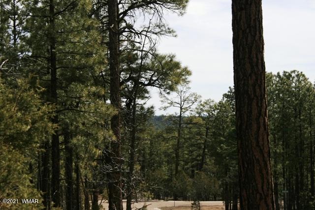 2329 Willow Way Pinetop, AZ 85935 - Photo 33 of 96