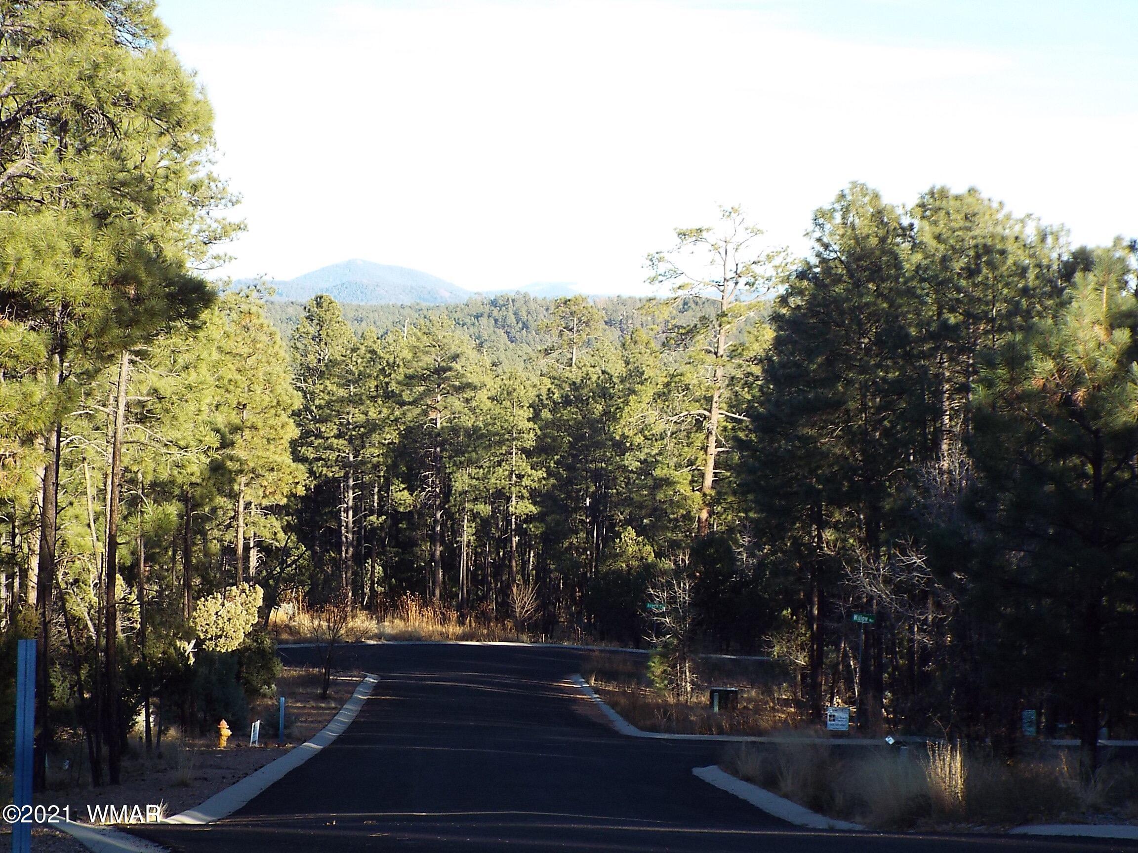 2329 Willow Way Pinetop, AZ 85935 - Photo 38 of 96