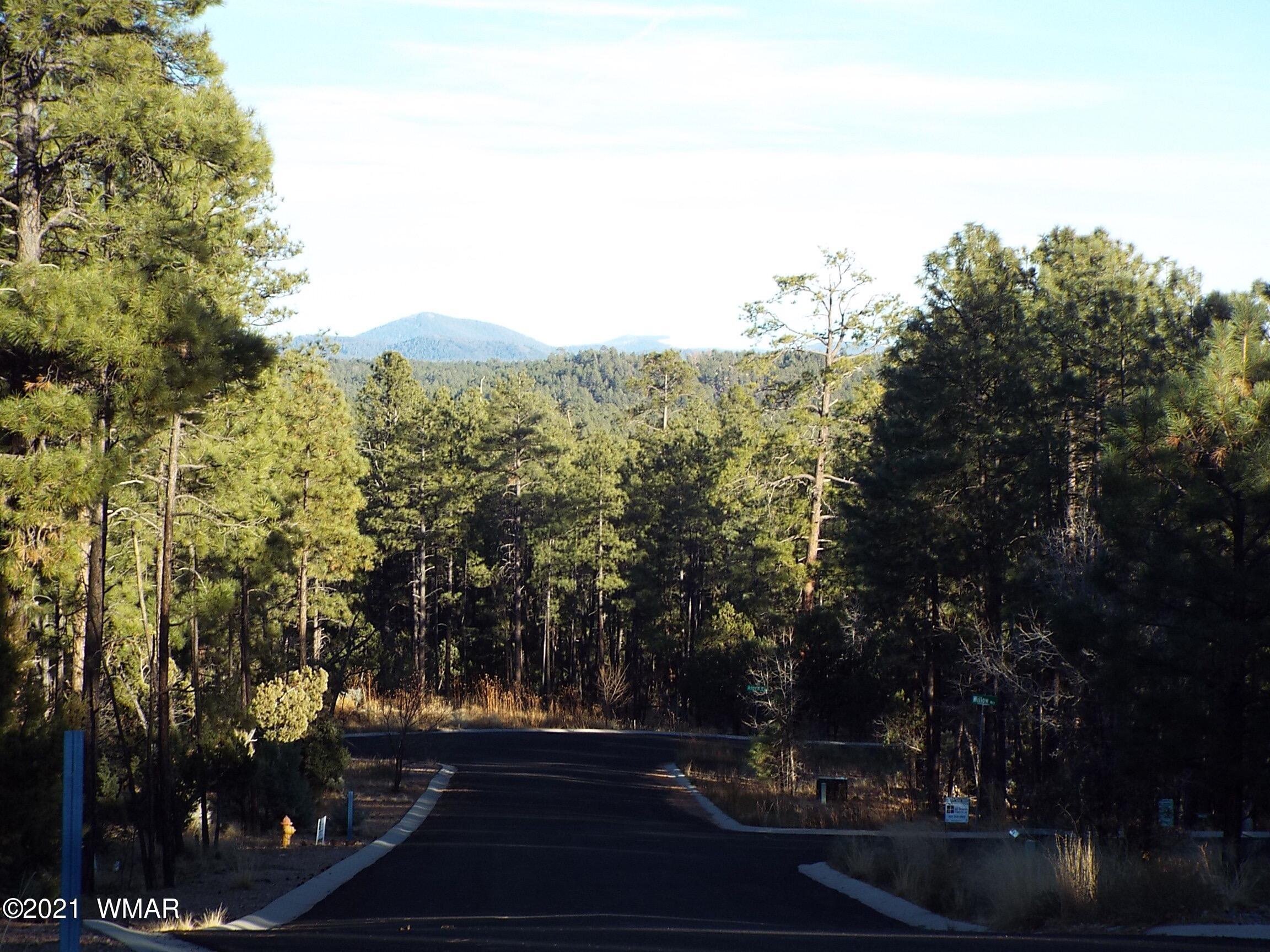 2329 Willow Way Pinetop, AZ 85935 - Photo 39 of 96