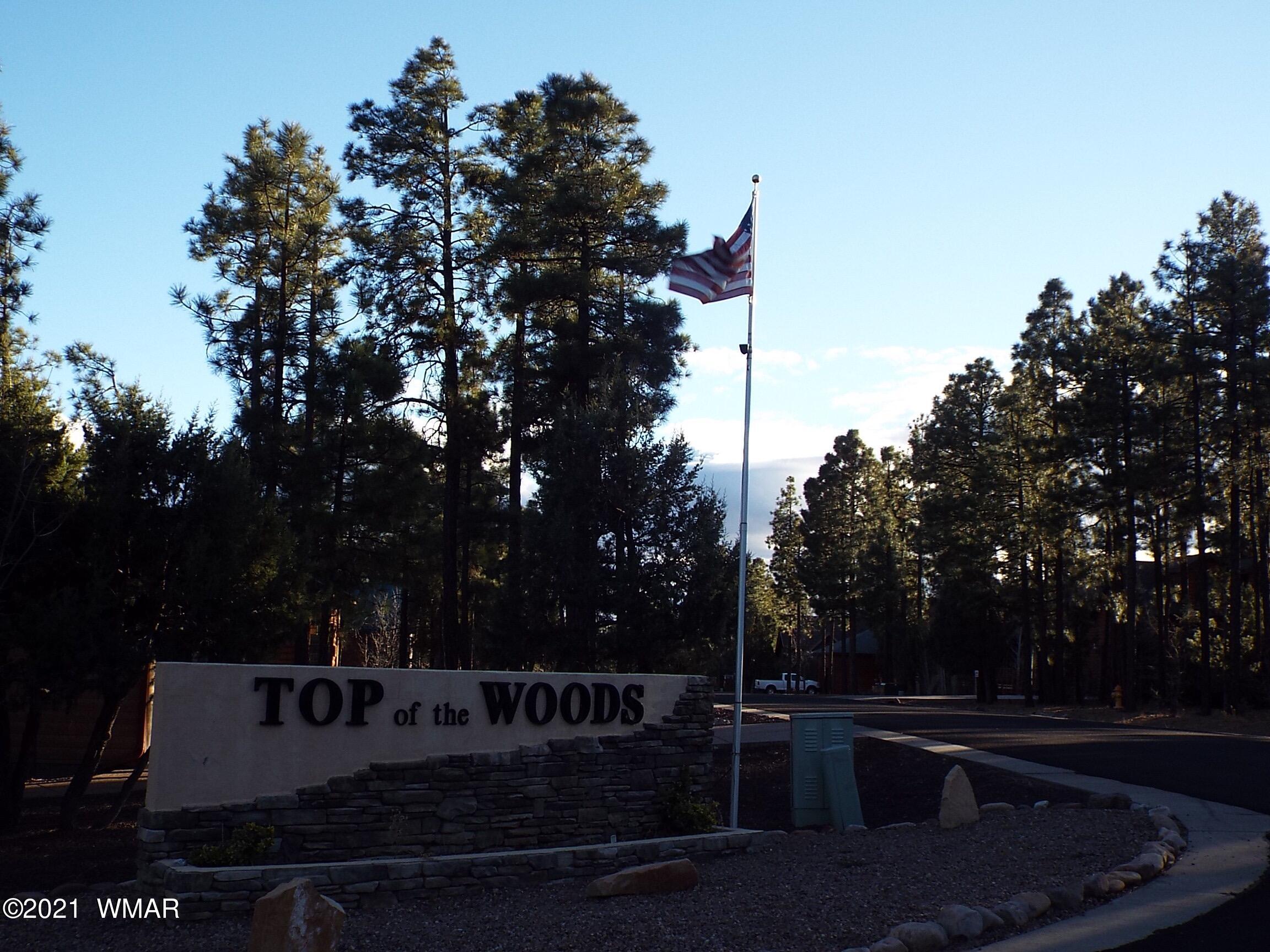 2329 Willow Way Pinetop, AZ 85935 - Photo 40 of 96