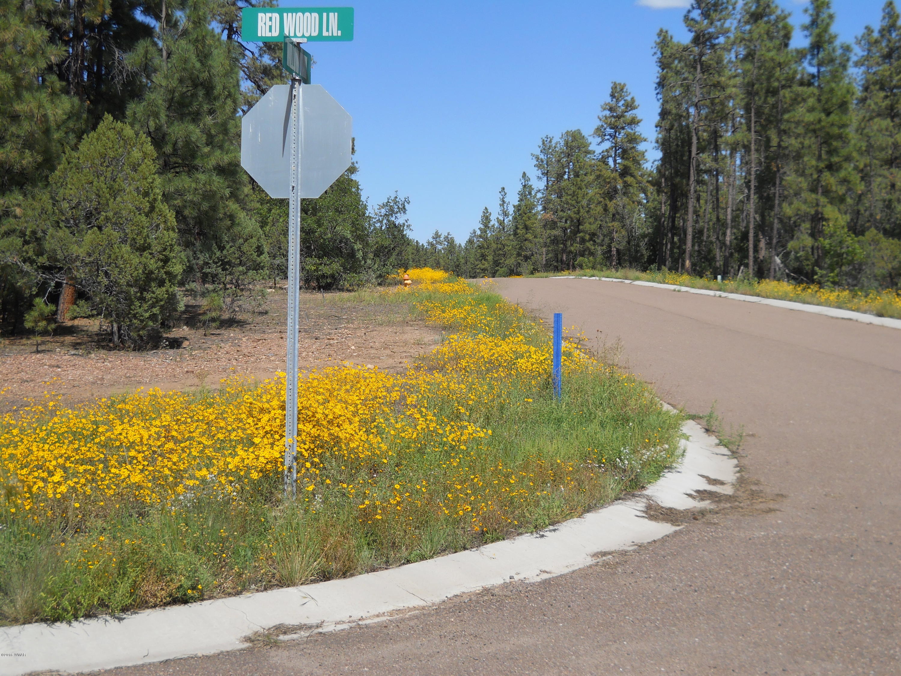 2329 Willow Way Pinetop, AZ 85935 - Photo 4 of 96
