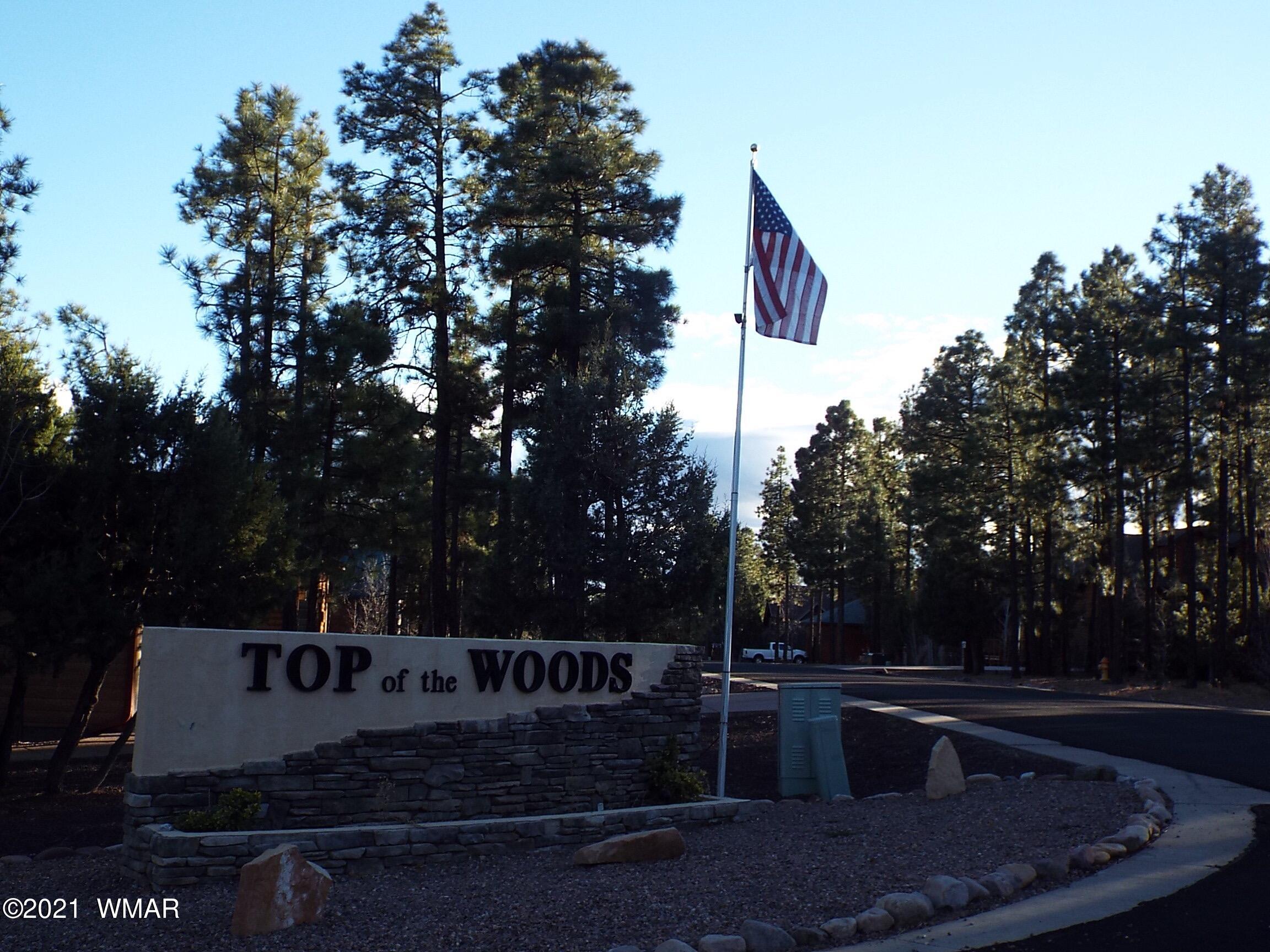 2329 Willow Way Pinetop, AZ 85935 - Photo 41 of 96